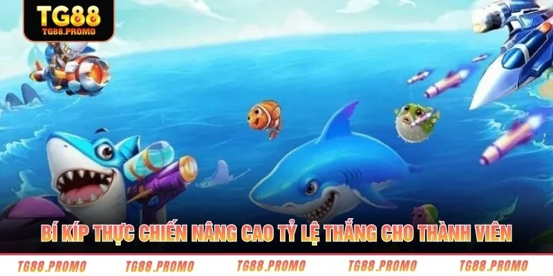 Bí kíp thực chiến nâng cao tỷ lệ thắng cho thành viên