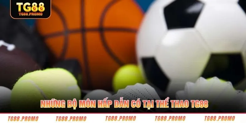 Những bộ môn hấp dẫn có tại thể thao TG88 