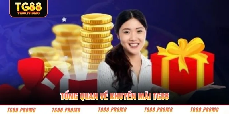 Tổng quan về khuyến mãi TG88 